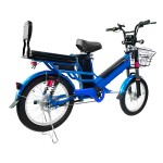 Manufacturers direct sales 20 inch fat tire spoke wheel load fork double battery electric bicycle